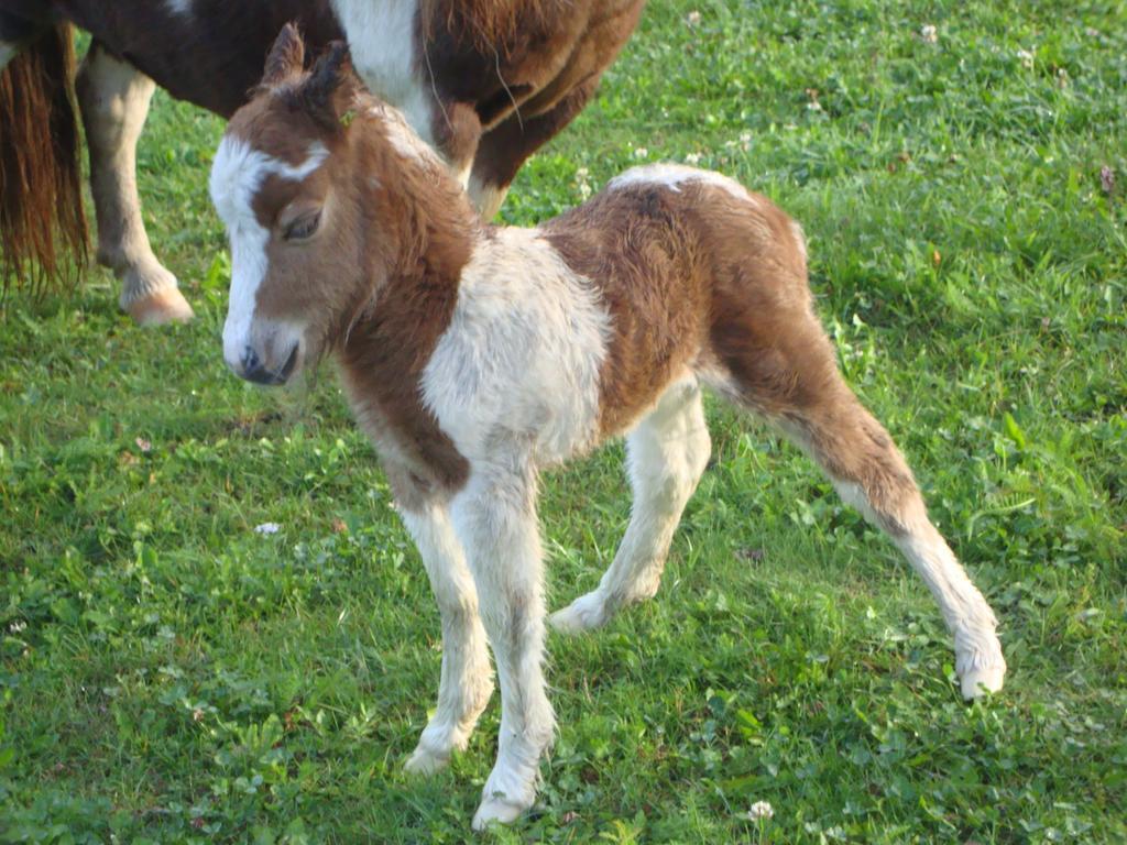 Winnewieser Vandoies Exterior foto