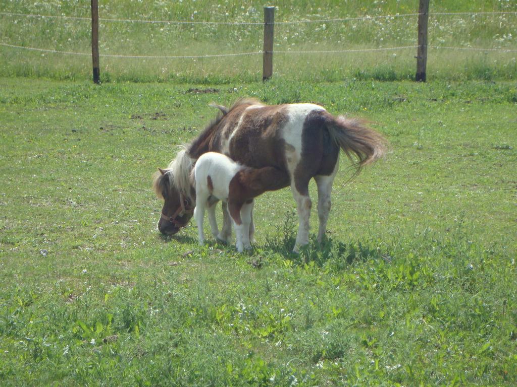 Winnewieser Vandoies Exterior foto