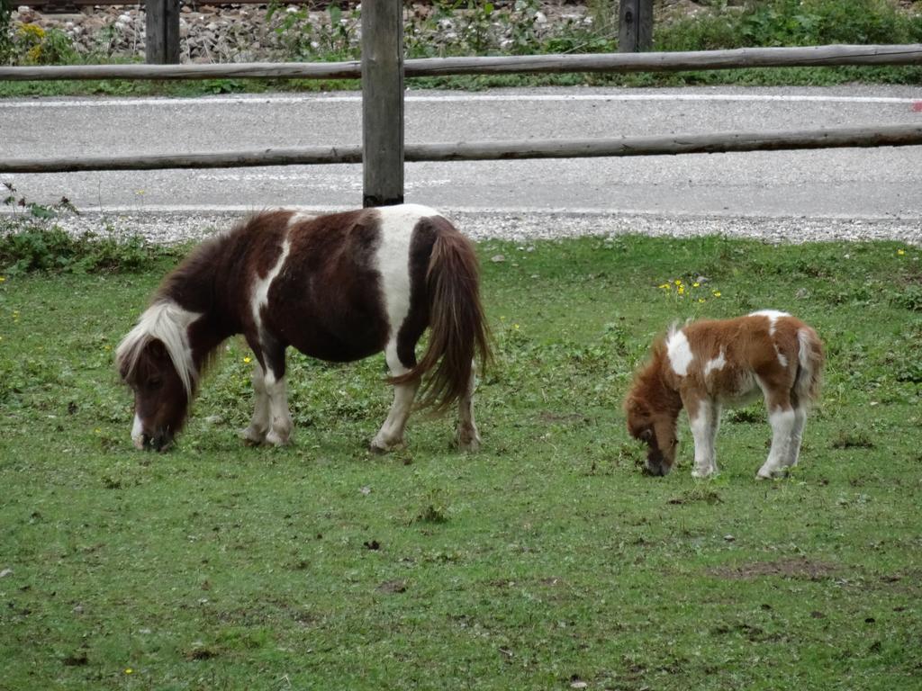 Winnewieser Vandoies Exterior foto